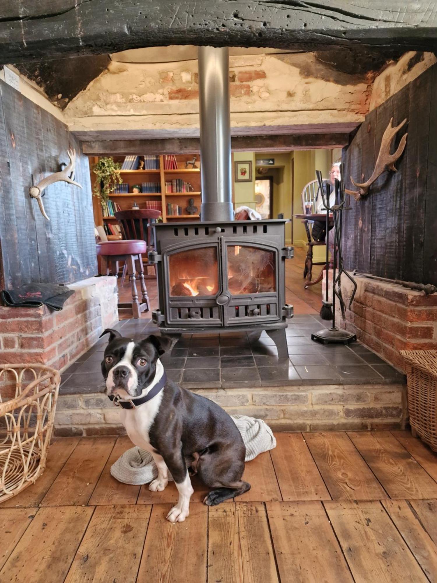 The Duke On The Test Romsey Extérieur photo