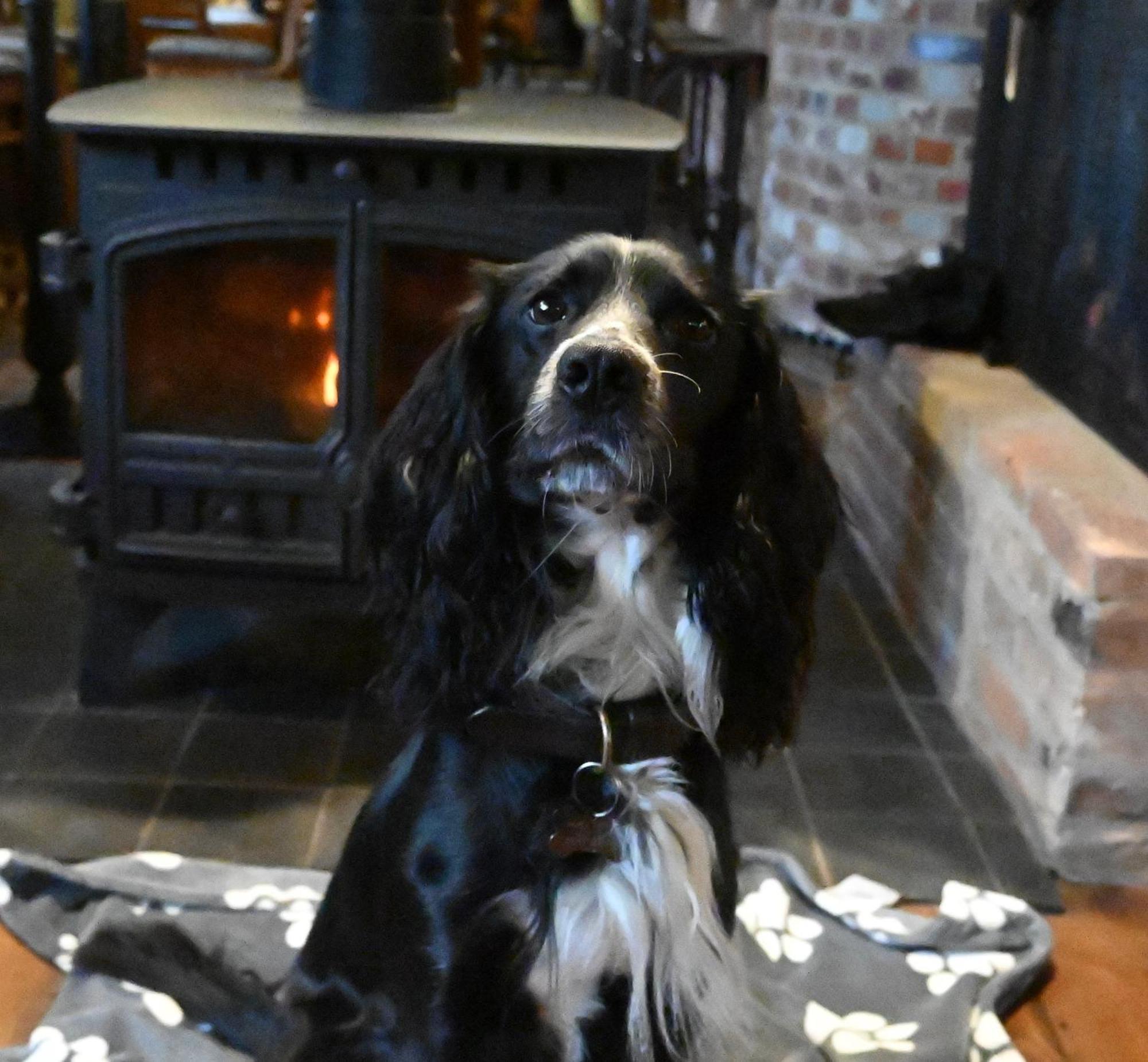 The Duke On The Test Romsey Extérieur photo